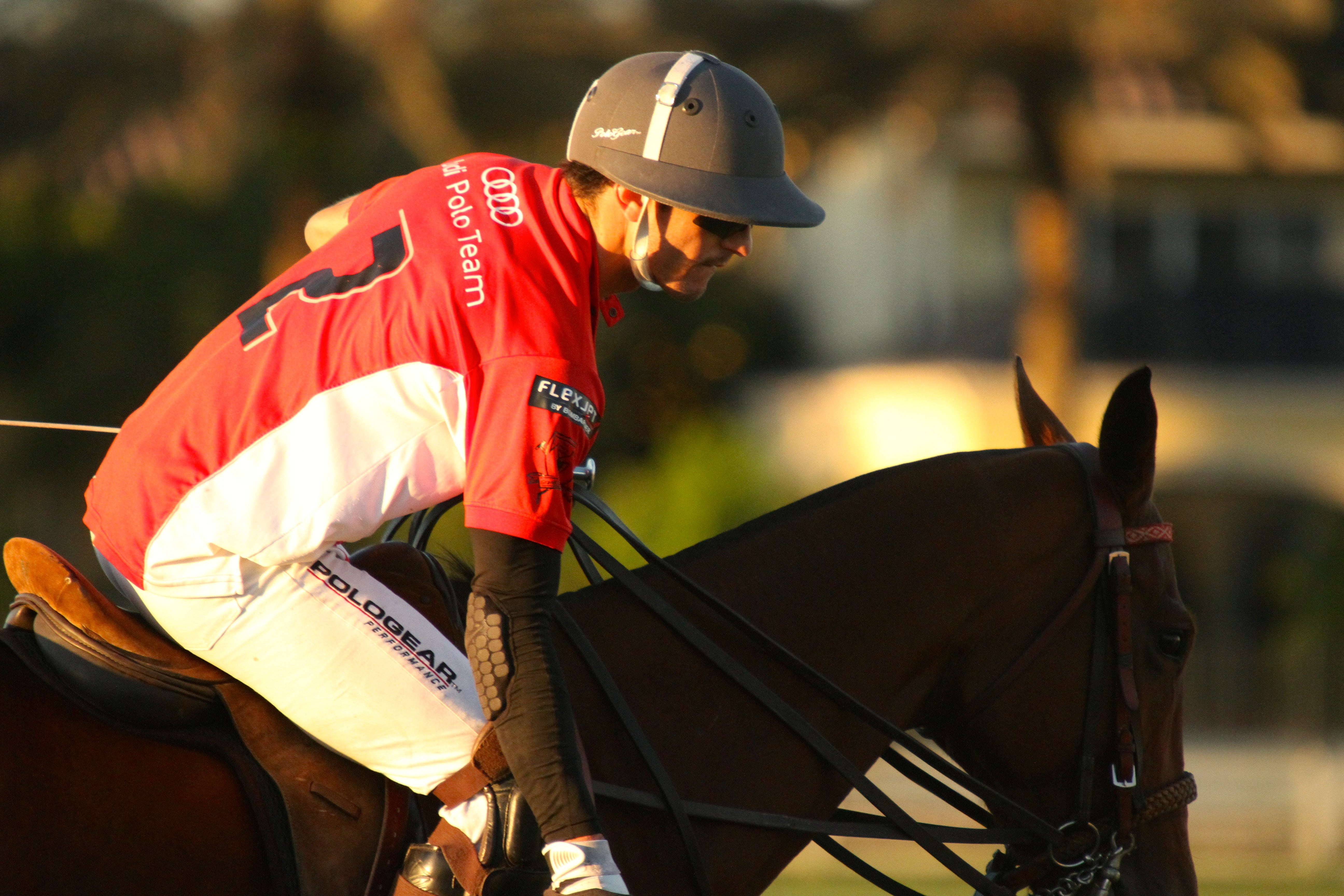 What are the best Polo Team Jerseys and Polo Team Shirts?