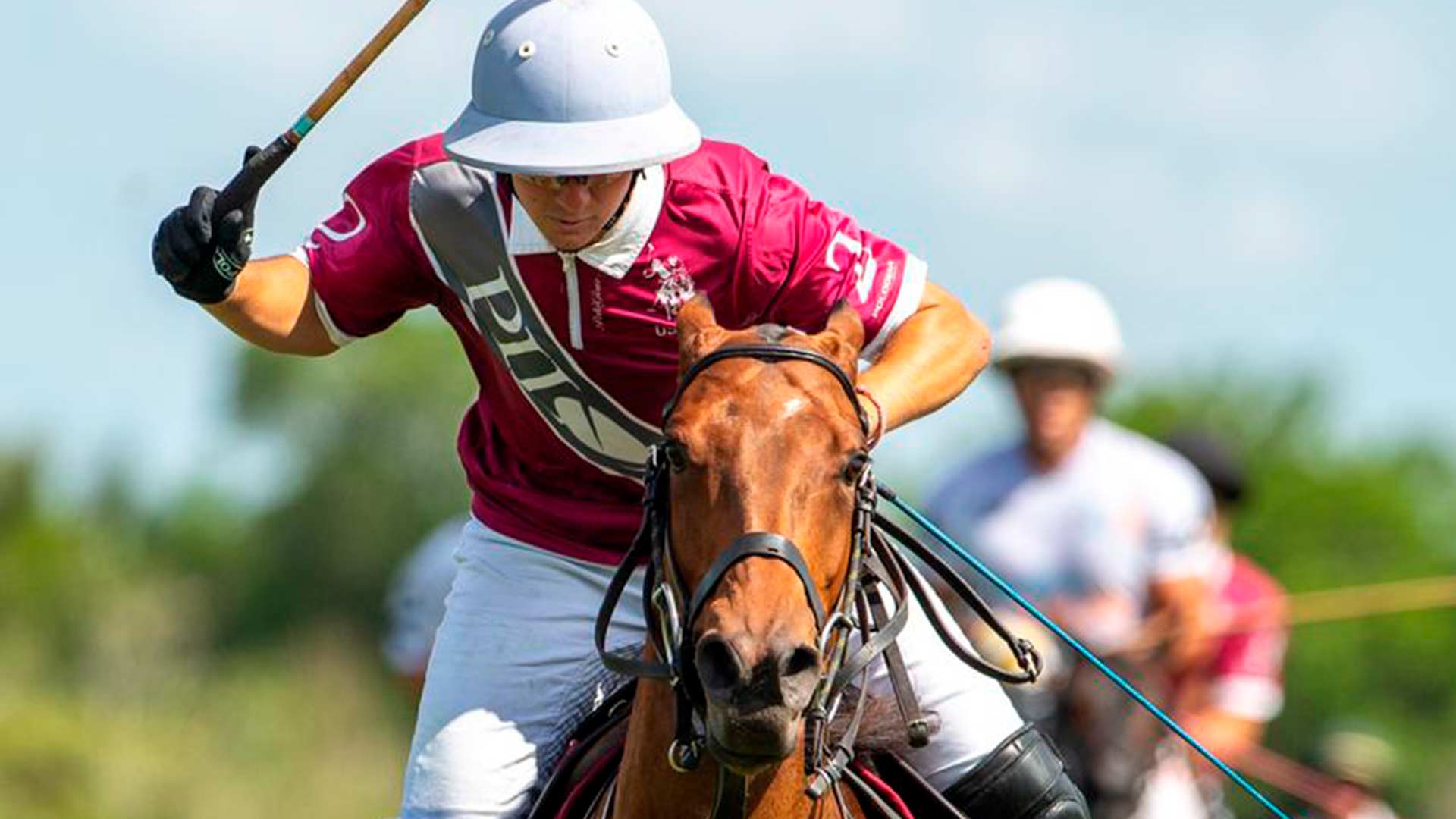 polo player