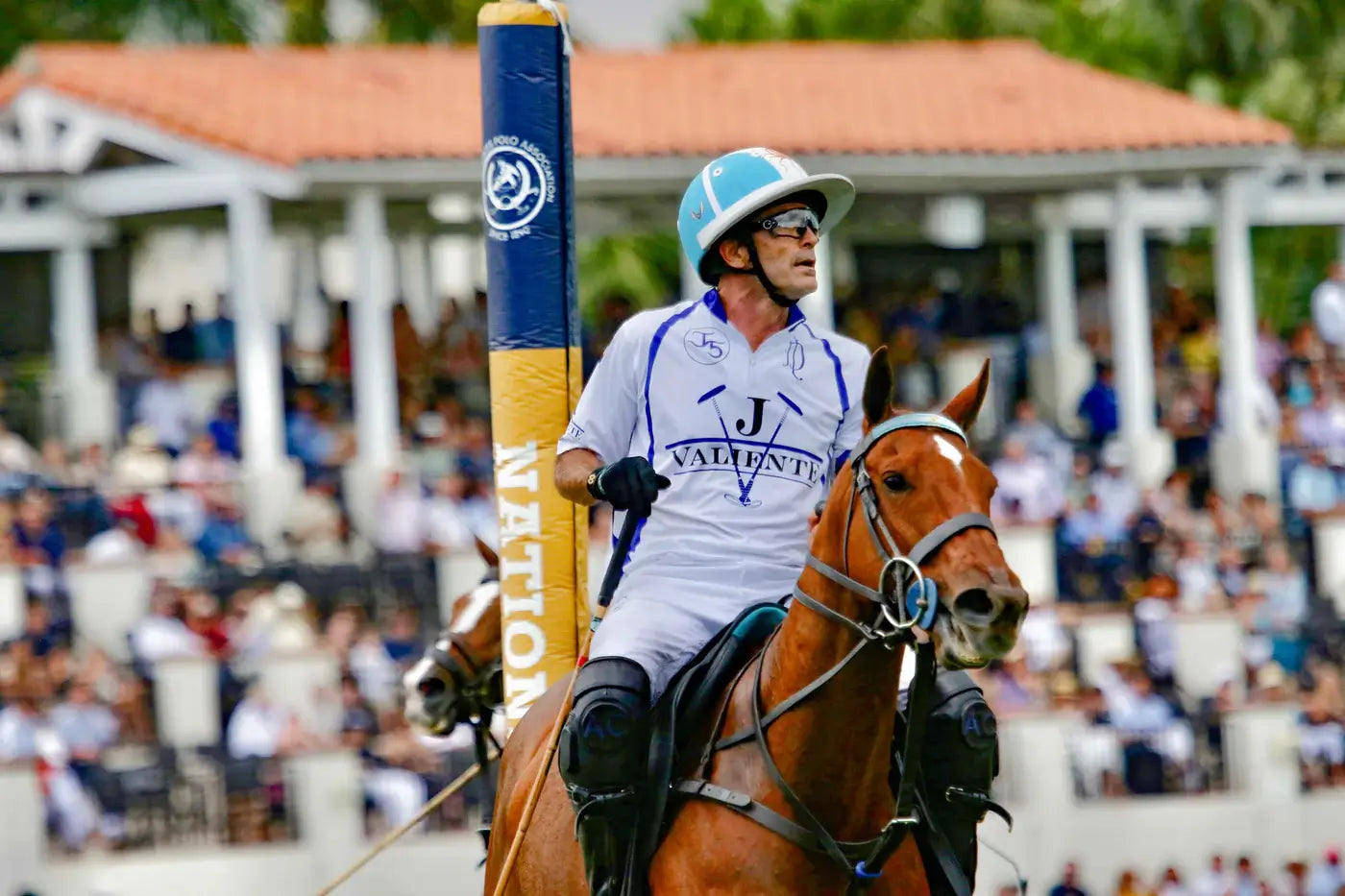 PoloGear's Essentials