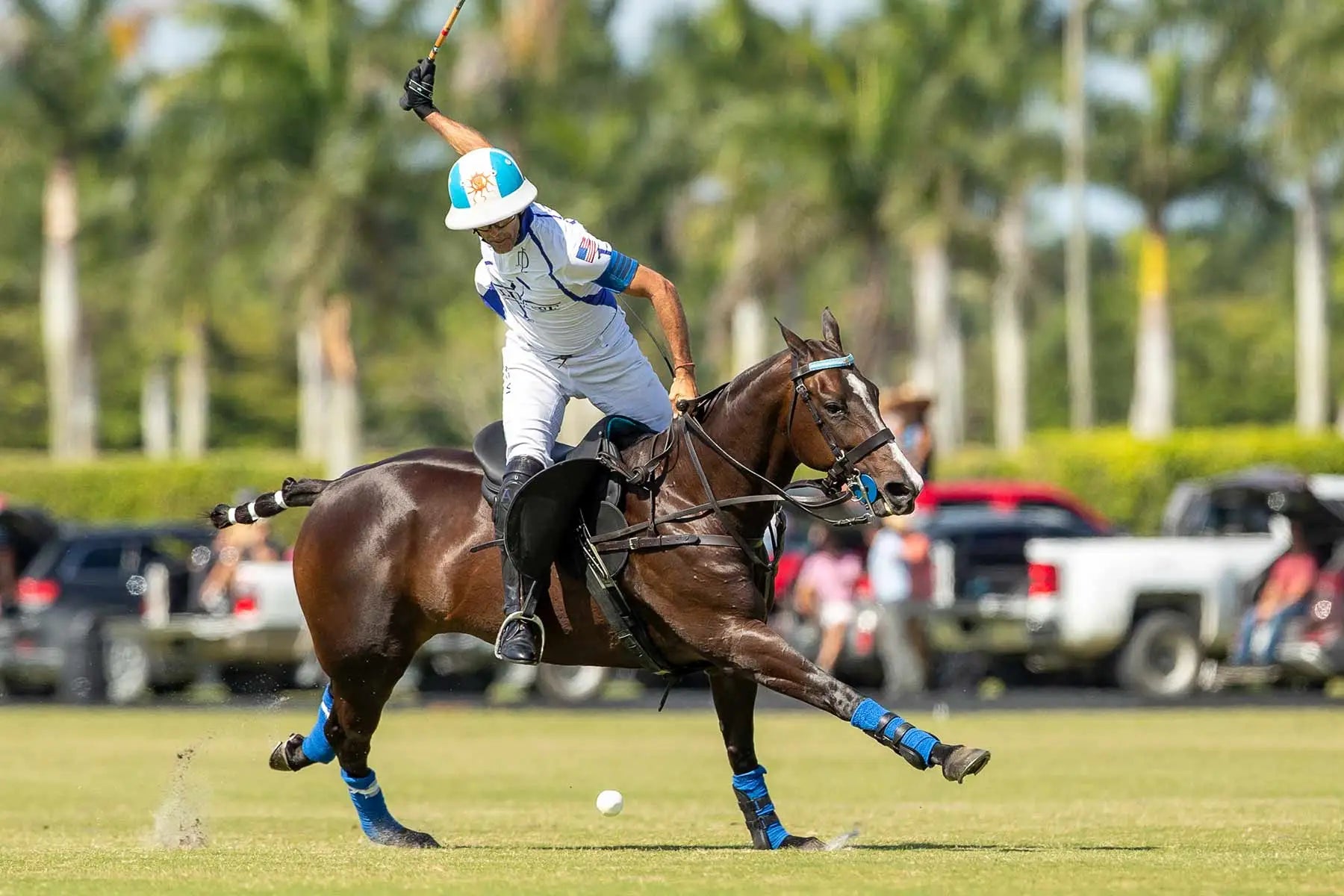 Cambiaso Playing Polo Over Horse
