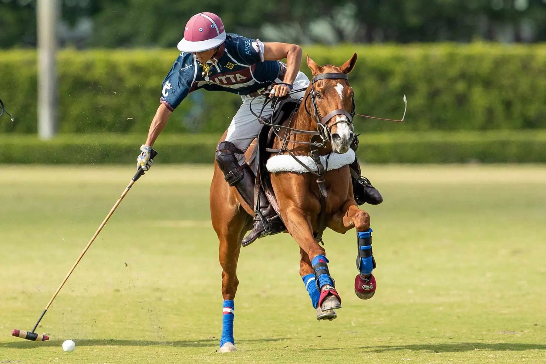 Timmy Dutta over horse playing polo