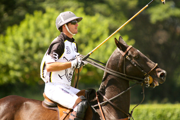 What are the best Polo Team Jerseys and Polo Team Shirts?