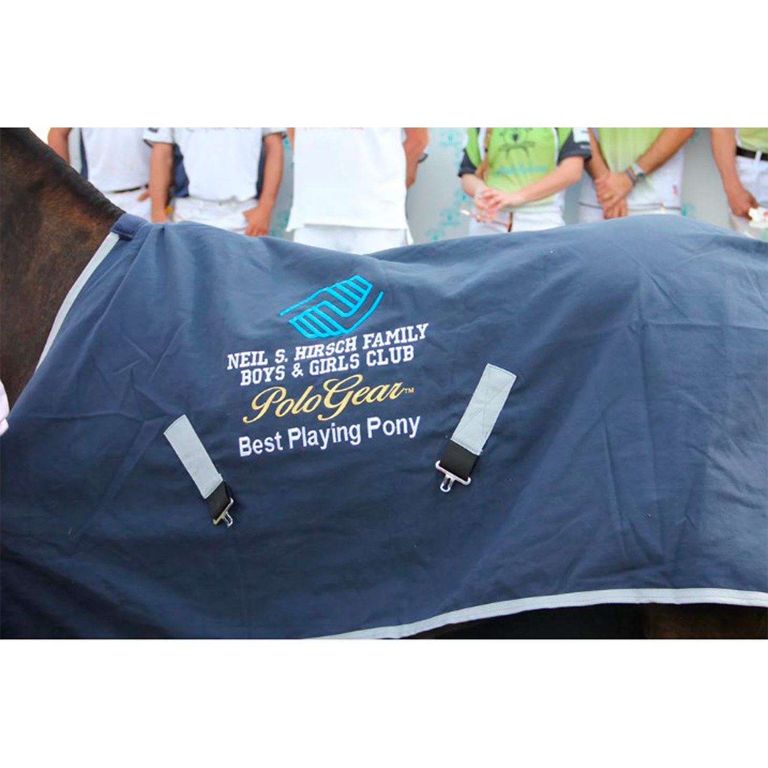 Custom Embroidered Horse Sheet