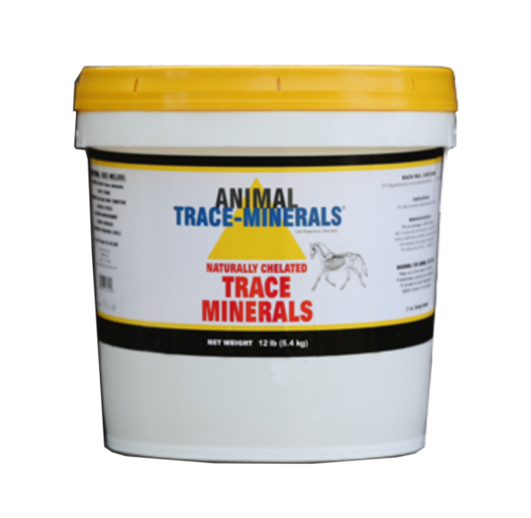 Animal Trace-Minerals for Horses