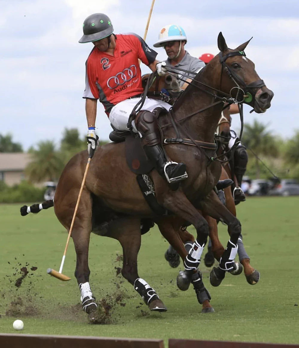 Polo players with mallets on horses