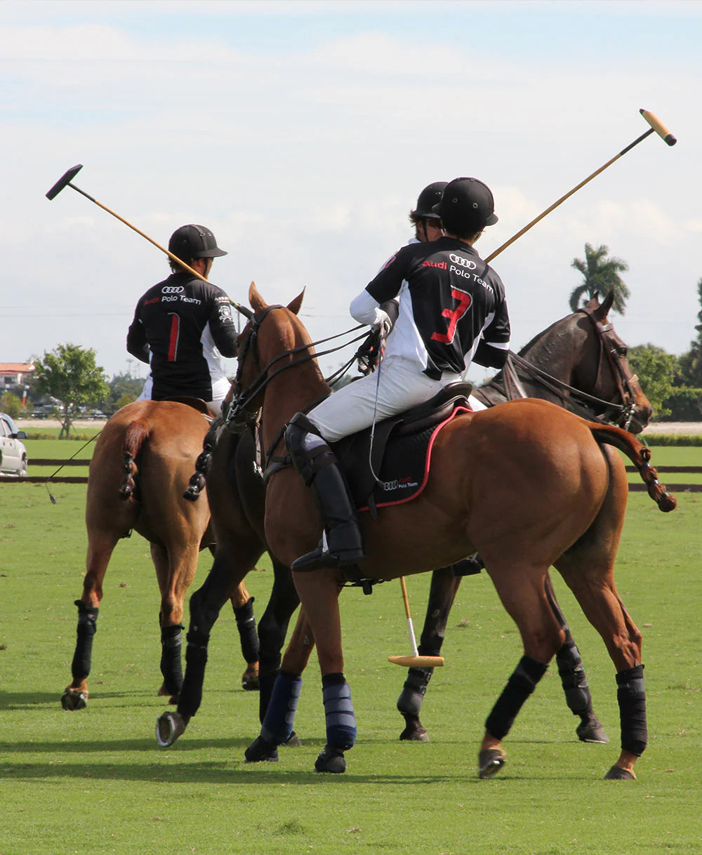 Audi polo team on horses with polo mallets